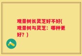 观景树长灵芝好不好(观景树与灵芝：哪种更好？)