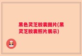 黑色灵芝胶囊图片(黑灵芝胶囊照片展示)