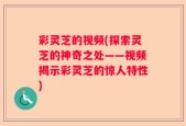 彩灵芝的视频(探索灵芝的神奇之处——视频揭示彩灵芝的惊人特性)