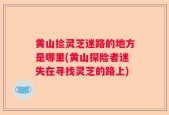 黄山捡灵芝迷路的地方是哪里(黄山探险者迷失在寻找灵芝的路上)