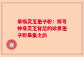 采摘灵芝孢子粉：探寻神奇灵芝背后的珍贵孢子粉采集之旅