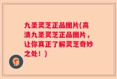 九圣灵芝正品图片(高清九圣灵芝正品图片，让你真正了解灵芝奇妙之处！)