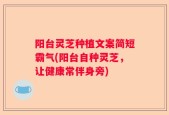 阳台灵芝种植文案简短霸气(阳台自种灵芝，让健康常伴身旁)