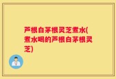 芦根白茅根灵芝煮水(煮水喝的芦根白茅根灵芝)