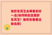 有野生灵芝去哪里买好一点(如何购买优质野生灵芝？推荐你看看这些选择)