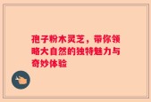 孢子粉木灵芝，带你领略大自然的独特魅力与奇妙体验