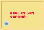 雪洞镇小灵芝(小灵芝成长的雪洞镇)