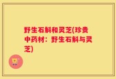 野生石斛和灵芝(珍贵中药材：野生石斛与灵芝)