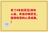 养了4年的灵芝(四年心血，养出珍稀灵芝，值得收获的心灵成果。)
