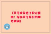 《灵芝喷发孢子粉过程图：探秘灵芝繁衍的神奇瞬间》