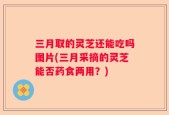 三月取的灵芝还能吃吗图片(三月采摘的灵芝能否药食两用？)