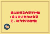 重庆附近室内灵芝种植(重庆周边室内培育灵芝，助力中药材种植