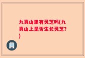 九真山里有灵芝吗(九真山上是否生长灵芝？)