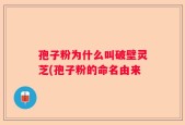 孢子粉为什么叫破壁灵芝(孢子粉的命名由来