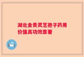 湖北金贵灵芝孢子药用价值高功效显著