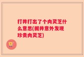 打井打出了个肉灵芝什么意思(掘井意外发现珍贵肉灵芝)