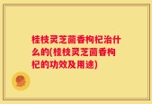 桂枝灵芝茴香枸杞治什么的(桂枝灵芝茴香枸杞的功效及用途)