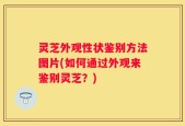 灵芝外观性状鉴别方法图片(如何通过外观来鉴别灵芝？)