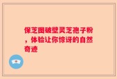 保芝图破壁灵芝孢子粉，体验让你惊讶的自然奇迹