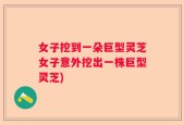 女子挖到一朵巨型灵芝女子意外挖出一株巨型灵芝)