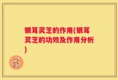 银耳灵芝的作用(银耳灵芝的功效及作用分析)