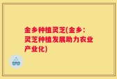 金乡种植灵芝(金乡：灵芝种植发展助力农业产业化)