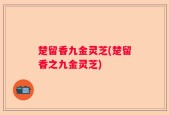 楚留香九金灵芝(楚留香之九金灵芝)