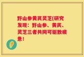 野山参黄芪灵芝(研究发现：野山参、黄芪、灵芝三者共同可驱散疲惫！