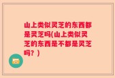 山上类似灵芝的东西都是灵芝吗(山上类似灵芝的东西是不都是灵芝吗？)