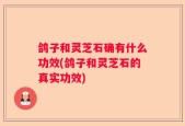 鸽子和灵芝石确有什么功效(鸽子和灵芝石的真实功效)
