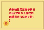 安利破壁灵芝孢子粉长白山(安利令人惊叹的破壁灵芝穴位孢子粉！)