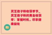 灵芝孢子粉收获季节_灵芝孢子粉的黄金收获季：掌握时机，尽享健康益处