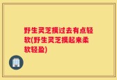 野生灵芝摸过去有点轻软(野生灵芝摸起来柔软轻盈)