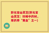 野元宝山灵芝(野元宝山灵芝：珍稀中药材，草药界“黄金”之一)