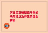 河北灵芝破壁孢子粉的功效特点及养生价值全解析