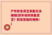 户外野生灵芝采集方法视频(野外如何采集灵芝？附实景操作视频！)