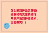 怎么抓到神品灵芝呢(抓取稀有灵芝的技巧：从原产地到种植技术，全面探究！)