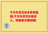 千万年灵芝有多贵啊值钱(千万年灵芝价格惊人，种植者大赚特赚)
