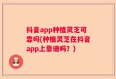 抖音app种植灵芝可靠吗(种植灵芝在抖音app上靠谱吗？)