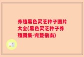养殖黑色灵芝种子图片大全(黑色灵芝种子养殖图集-完整指南)