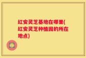 红安灵芝基地在哪里(红安灵芝种植园的所在地点)