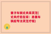 妻子车祸丈夫采灵芝(丈夫疗愈在家：患妻车祸后专注灵芝疗程)