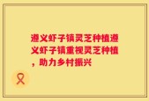 遵义虾子镇灵芝种植遵义虾子镇重视灵芝种植，助力乡村振兴