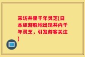 采访井里千年灵芝(日本旅游胜地出现井内千年灵芝，引发游客关注)