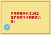 药师佛左手灵芝(灵芝在药师佛手中的神奇力量)