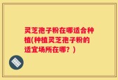 灵芝孢子粉在哪适合种植(种植灵芝孢子粉的适宜场所在哪？)