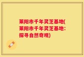 莱阳市千年灵芝基地(莱阳市千年灵芝基地：探寻自然奇观)