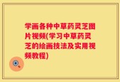 学画各种中草药灵芝图片视频(学习中草药灵芝的绘画技法及实用视频教程)