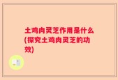 土鸡肉灵芝作用是什么(探究土鸡肉灵芝的功效)