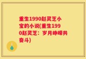 重生1990赵灵芝小宝的小说(重生1990赵灵芝：岁月峥嵘共奋斗)